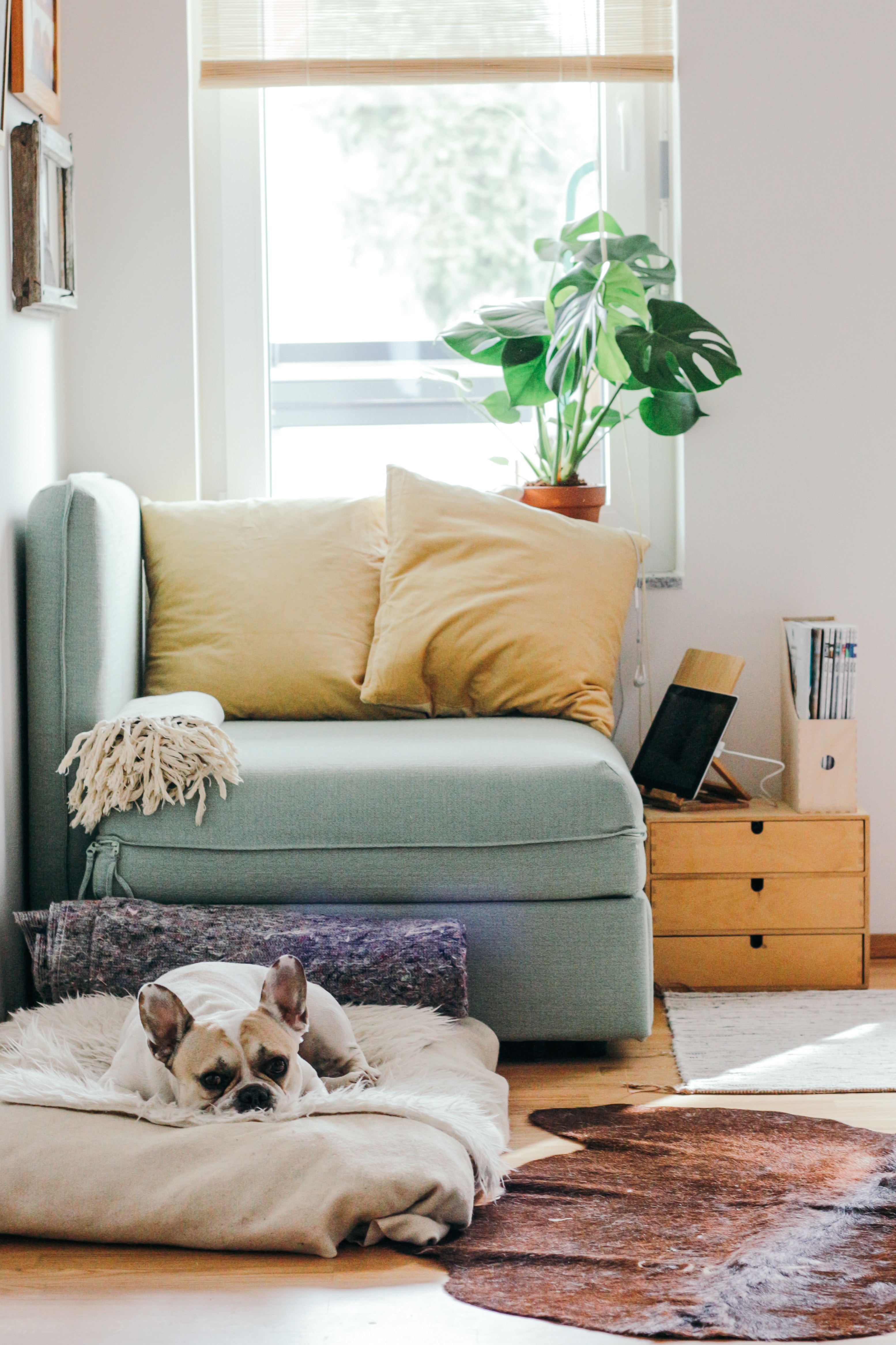 4 Common Problems Found During a Home Inspection